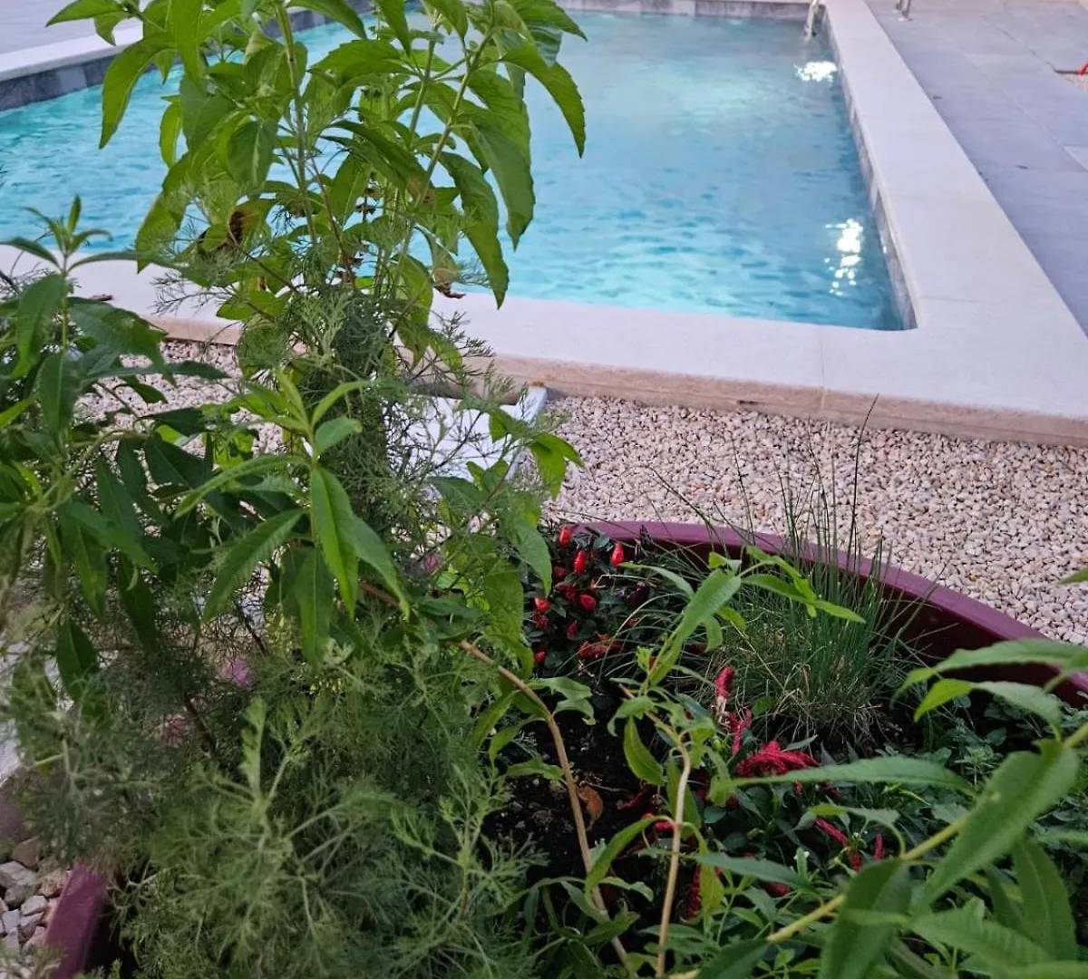 Domus In Monte Villa Kaldir Hırvatistan