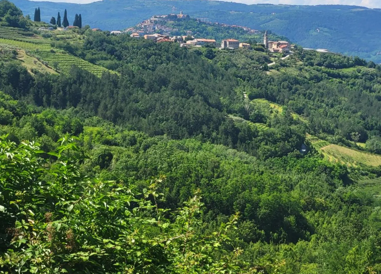 Domus In Monte Villa Kaldir